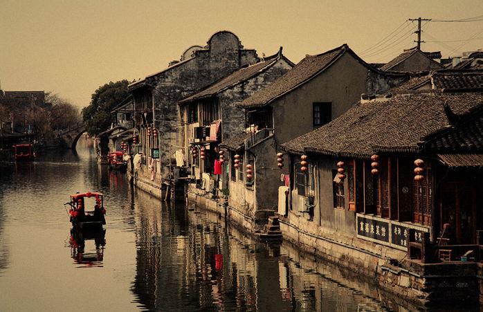 时尚小鸡救援