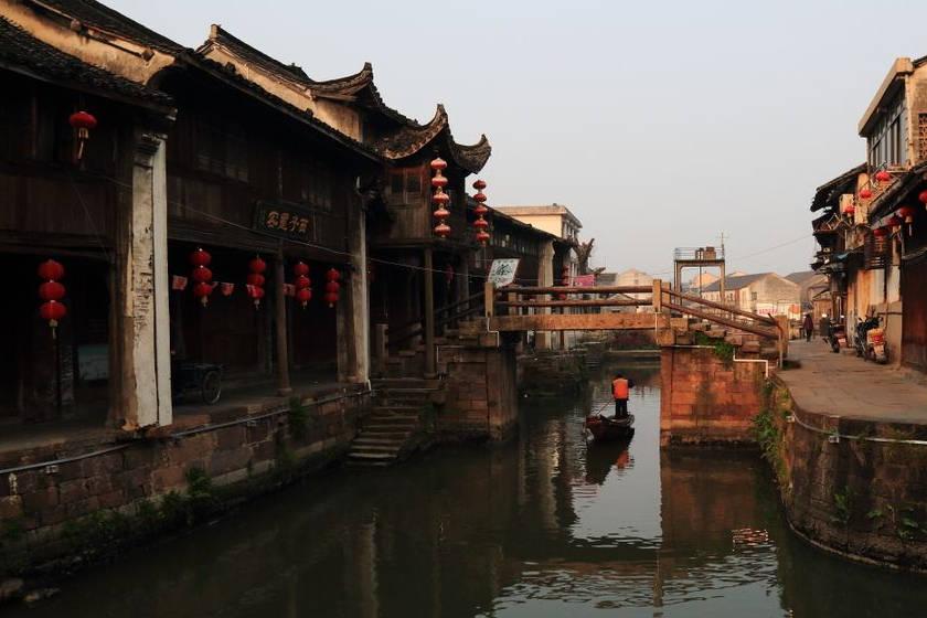 救援受困的鹭
